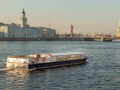 Фицджеральд — снимок 2