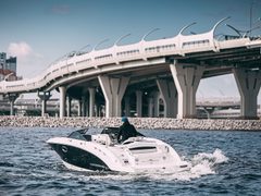 Линетта Chaparral 244 — снимок 5