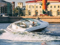 Таша Chaparral 262 — снимок 6