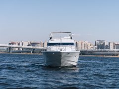 Dominator 68 Крон — снимок 5