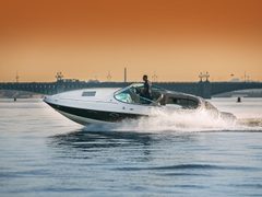 Таша Chaparral 262 — снимок 4