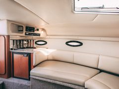 Таша Chaparral 262 — снимок 16