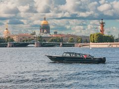 Blueberry — снимок 10