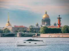 Вельвет 33 Белуга — снимок 2
