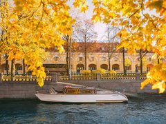 Venezia Nord — снимок 24