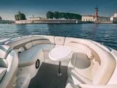 Таша Chaparral 262 — снимок 12