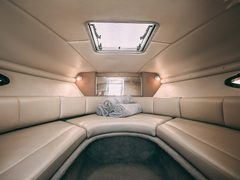 Таша Chaparral 262 — снимок 13