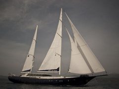 Perla Del Mare — снимок 2