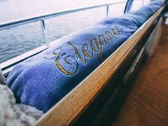 Elegance 65 — снимок 10