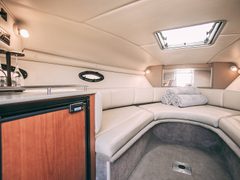 Таша Chaparral 262 — снимок 14