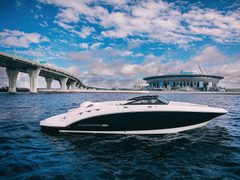 Линетта Chaparral 244 — снимок 3