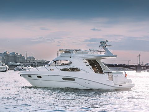 Sealine 39 AMO — снимок 39
