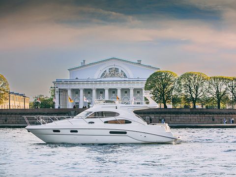 Sealine 39 AMO — снимок 13