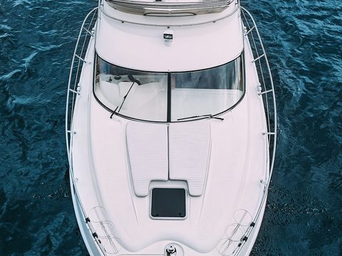 Sealine 39 AMO — снимок 10