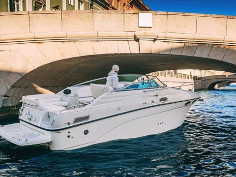 Эос CrownLine 262 — снимок 12