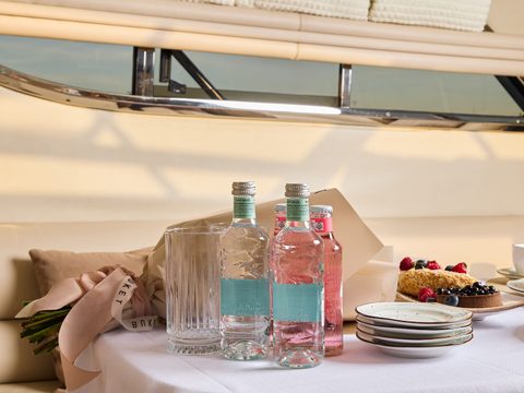 Sealine 43 Monte Carlo — снимок 16