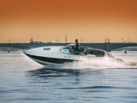Таша Chaparral 262 — снимок 4