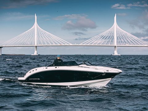 Линетта Chaparral 244 — снимок 16