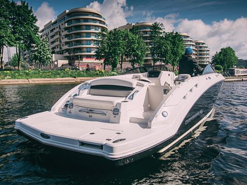 Линетта Chaparral 244 — снимок 4