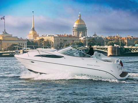 Ассоль Bayliner 265 — снимок 9