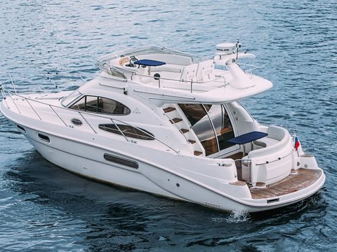 Sealine 39 AMO — снимок 35