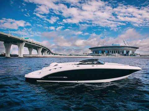 Линетта Chaparral 244 — снимок 3