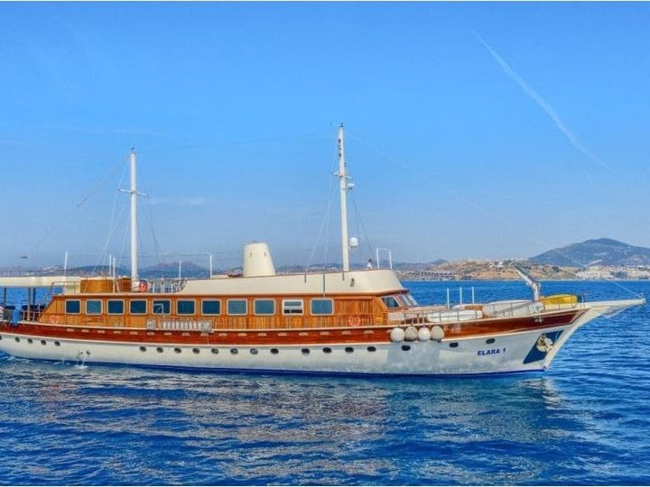 Elara 1